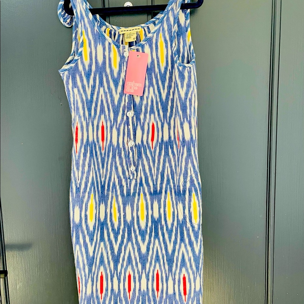 Adorable New Anthem of the Ants Ikat Dress